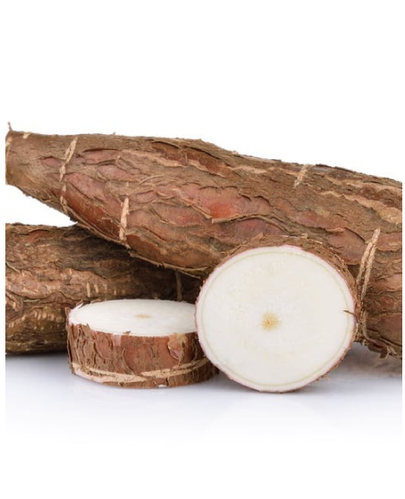 Manioc 1 Tas